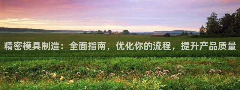 彩神ix可靠吗：精密模具制造：全面指南，优化你的流程，提升产品质量