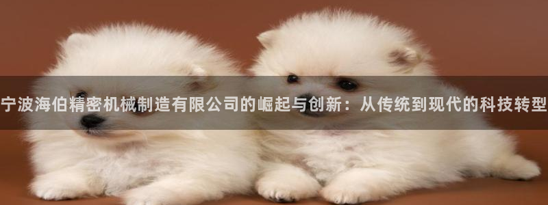 彩神viii是正规平台吗?：宁波海伯精密机械制造有限公司的崛起与创新：从传统到现代的科技转型