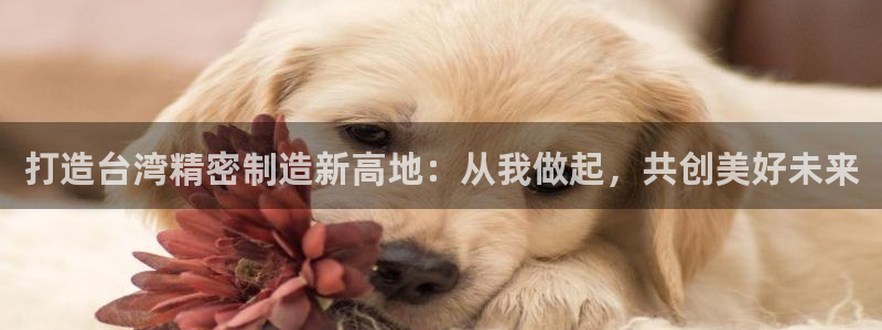彩神ix能赚钱吗：打造台湾精密制造新高地：从我做起，共创美好未来