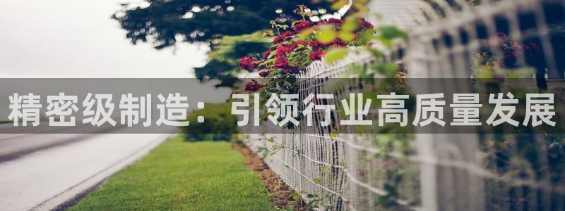 新版彩神v8登录教程：精密级制造：引领行业高质量发展