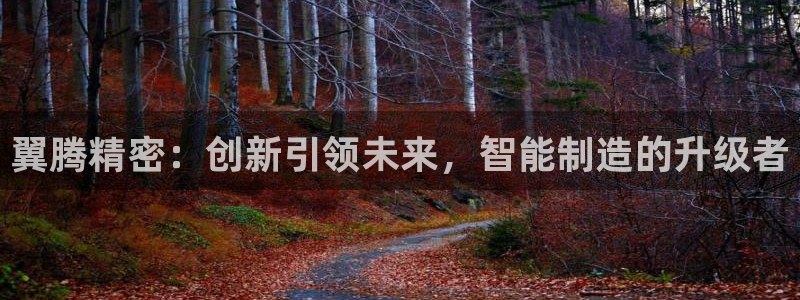 彩神网能赚钱是怎么回事：翼腾精密：创新引领未来，智能制造的升级者