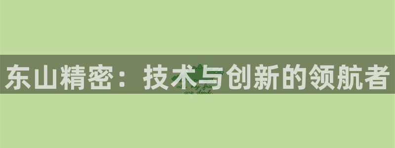 彩神vll首页：东山精密：技术与创新的领航者