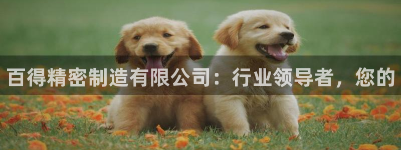 彩神购彩-购彩大厅入口下载：百得精密制造有限公司：行业领导者，您的