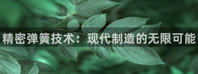 彩神VII官方版：精密弹簧技术：现代制造的无限可能