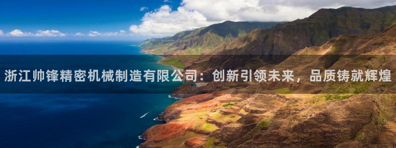 彩神怎么样可以提现：浙江帅锋精密机械制造有限公司：创新引领未来，品质铸就辉煌
