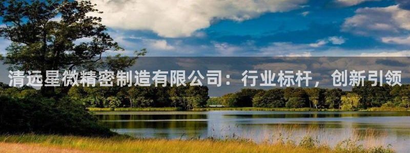 彩神V购彩大厅：清远星微精密制造有限公司：行业标杆，创新引领