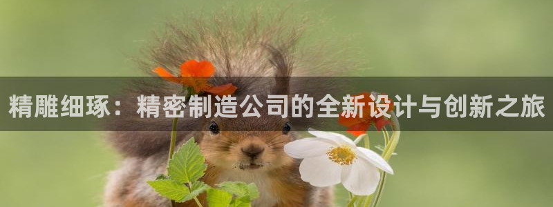 彩神赢了钱登录不上去：精雕细琢：精密制造公司的全新设计与创新之旅