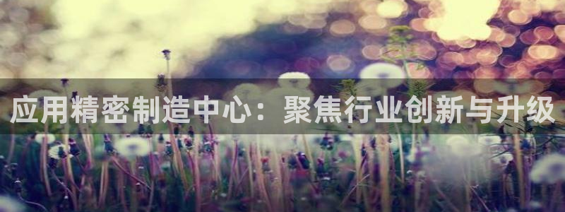 天天赢彩神：应用精密制造中心：聚焦行业创新与升级