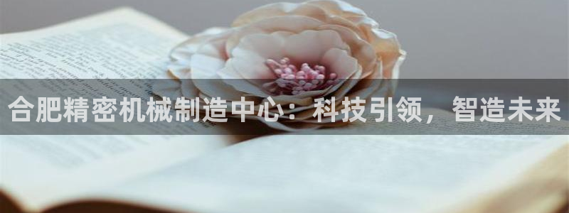 彩神团队是真的吗：合肥精密机械制造中心：科技引领，智造未来