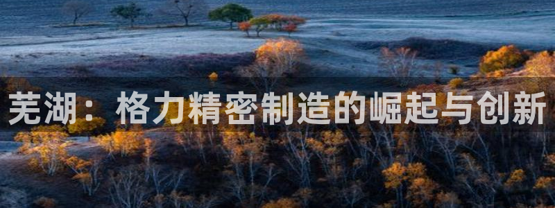 彩神网可以赚钱是真的吗：芜湖：格力精密制造的崛起与创新