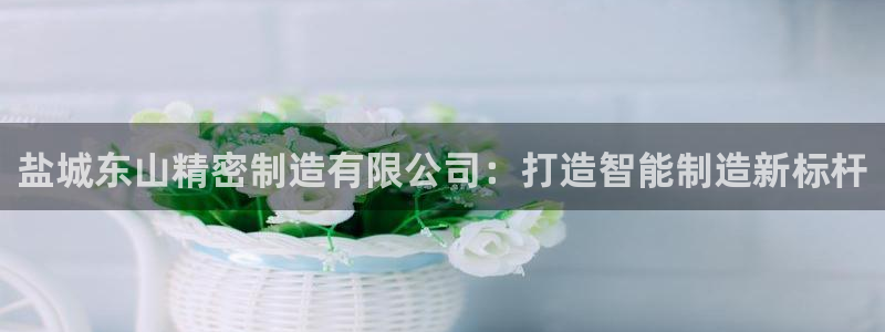彩神争霸官网登录平台：盐城东山精密制造有限公司：打造智能制造新标杆