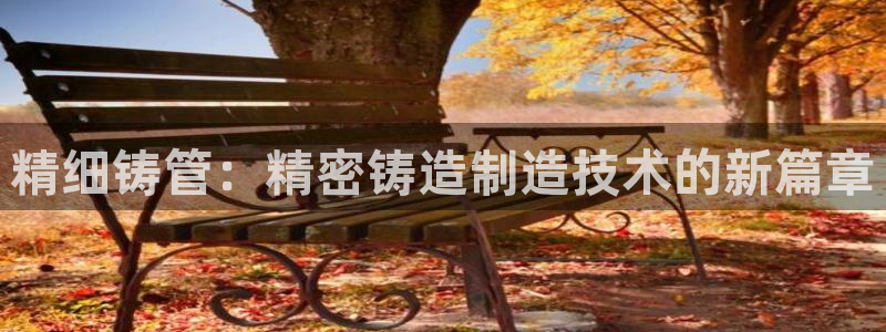 下载彩神v8：精细铸管：精密铸造制造技术的新篇章