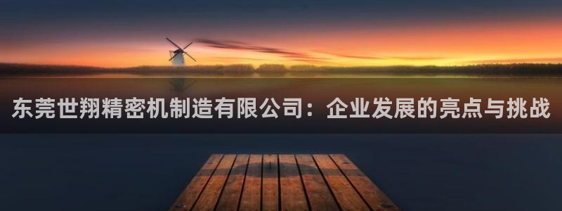 彩神ll能赚钱吗：东莞世翔精密机制造有限公司：企业发展的亮点与挑战