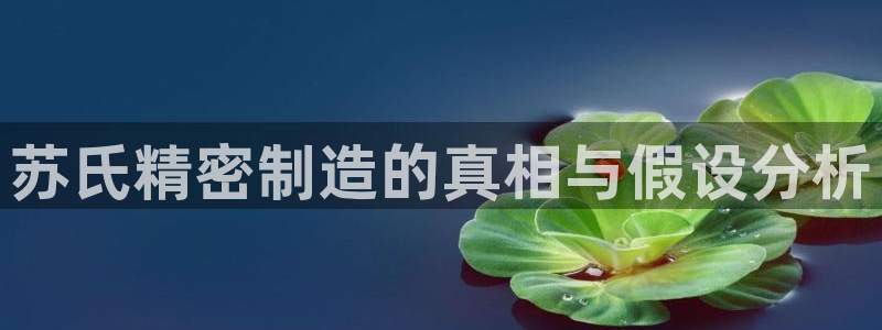 彩神vlll游戏特色：苏氏精密制造的真相与假设分析