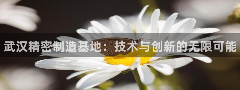 彩神购彩-购彩大厅入口36fr：武汉精密制造基地：技术与创新的无限可能