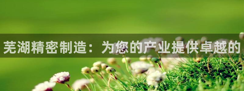 彩神Vll：芜湖精密制造：为您的产业提供卓越的
