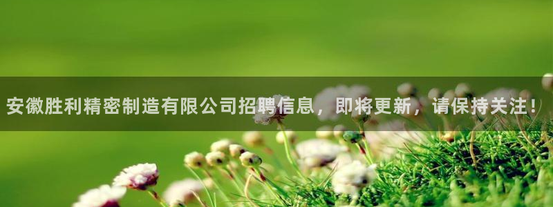 彩神v8是一个什么平台：安徽胜利精密制造有限公司招聘信息，即将更新，请保持关注！