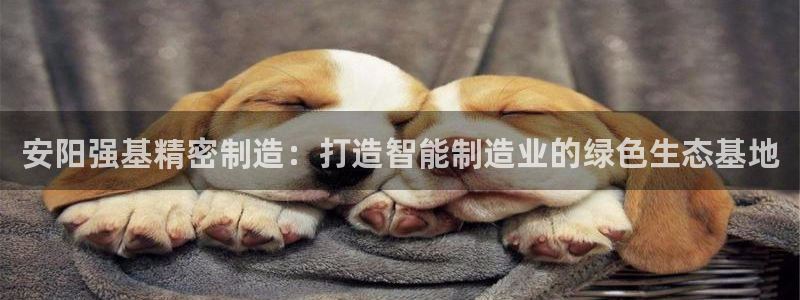 彩神争霸官网登录平台：安阳强基精密制造：打造智能制造业的绿色生态基地