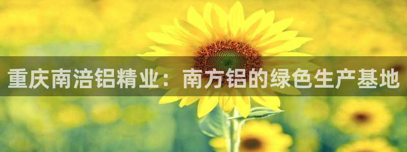 彩神app能挣到钱吗：重庆南涪铝精业：南方铝的绿色生产基地