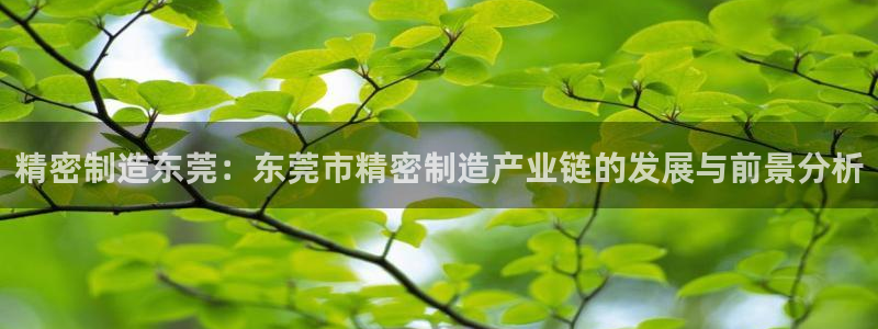 彩神是真的吗：精密制造东莞：东莞市精密制造产业链的发展与前景分析