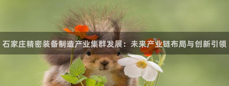 彩神V8平台：石家庄精密装备制造产业集群发展：未来产业链布局与创新引领