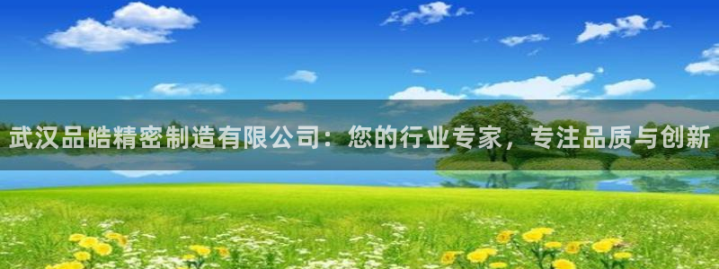 下载彩神争霸谁与我争锋：武汉品皓精密制造有限公司：您的行业专家，专注品质与创新