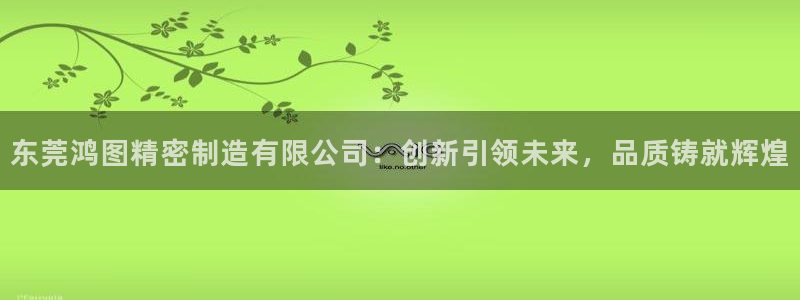 彩神vll购彩大厅：东莞鸿图精密制造有限公司：创新引领未来，品质铸就辉煌