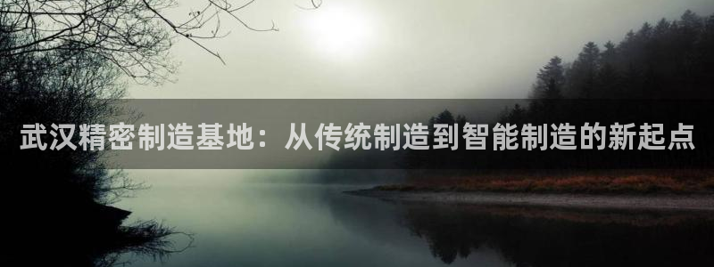 彩神v1官网：武汉精密制造基地：从传统制造到智能制造的新起点