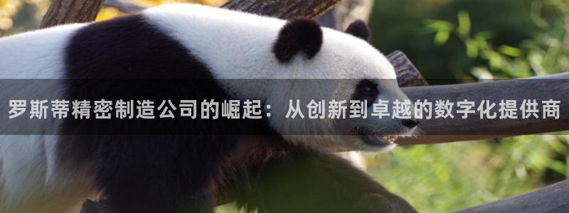 彩神8彩平台：罗斯蒂精密制造公司的崛起：从创新到卓越的数字化提供商