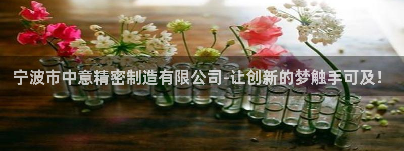 彩神ios下载：宁波市中意精密制造有限公司-让创新的梦触手可及！