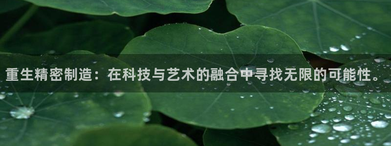 彩神购彩-购彩大厅入口36fr：重生精密制造：在科技与艺术的融合中寻找无限的可能性。