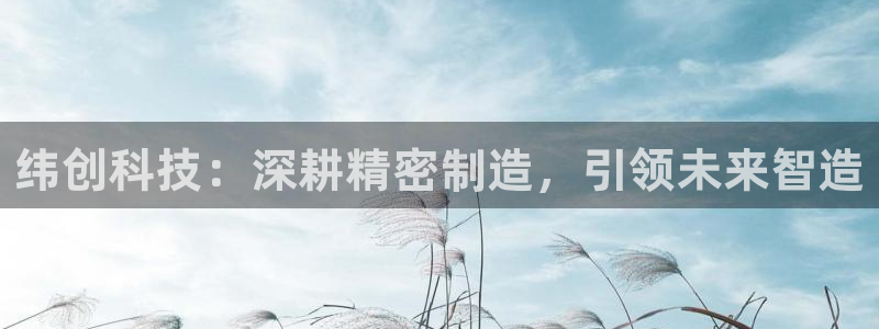 彩神通官网下载：纬创科技：深耕精密制造，引领未来智造