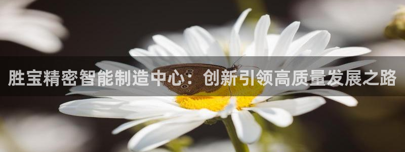 彩神8彩平台官网：胜宝精密智能制造中心：创新引领高质量发展之路