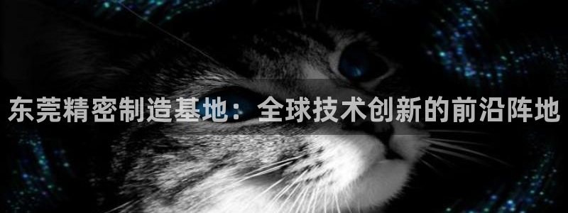 彩神大发官网：东莞精密制造基地：全球技术创新的前沿阵地