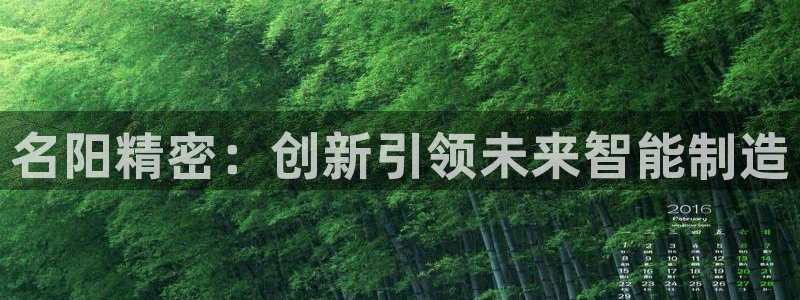 彩神vip购彩大厅在哪：名阳精密：创新引领未来智能制造