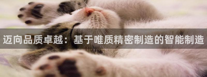 彩神到底能不能赚钱