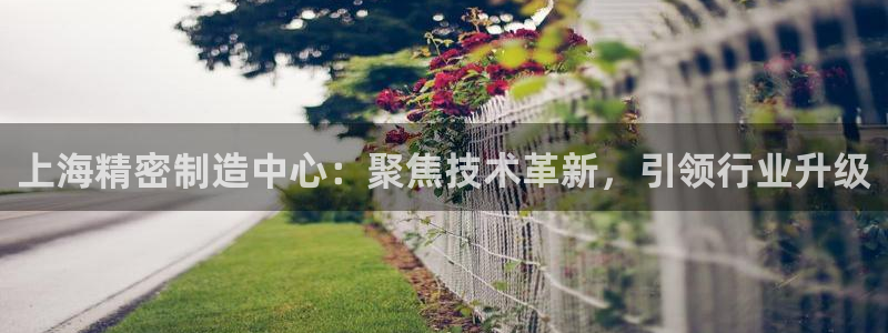 彩神v1破解器：上海精密制造中心：聚焦技术革新，引领行业升级