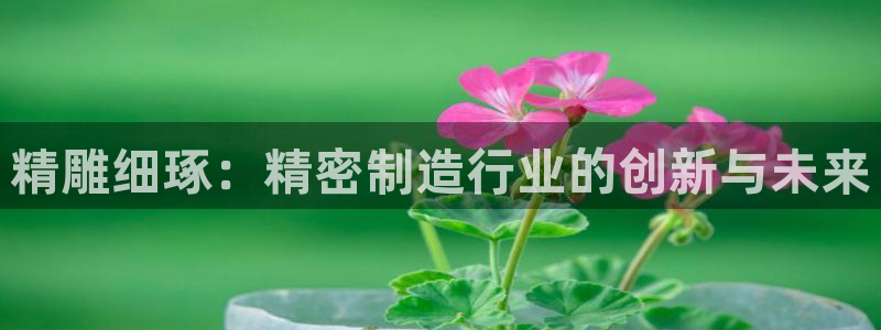 彩神用户登录：精雕细琢：精密制造行业的创新与未来