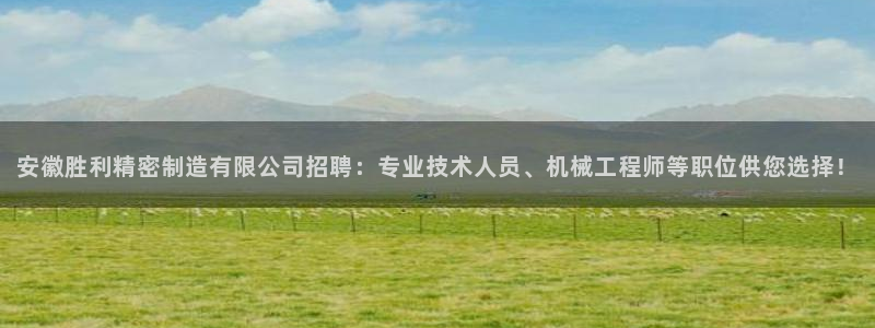 彩神vll趣投彩：安徽胜利精密制造有限公司招聘：专业技术人员、机械工程师等职位供您选择！
