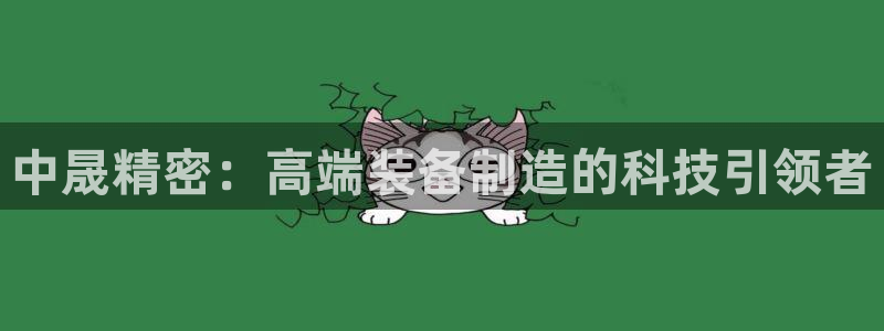 彩神输的钱是赌博还是诈骗：中晟精密：高端装备制造的科技引领者