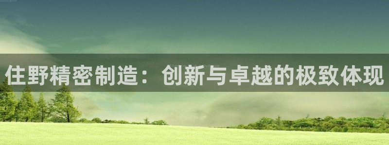 彩神vlll官方网：住野精密制造：创新与卓越的极致体现