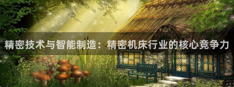 在彩神网输了六万多怎么拿回来：精密技术与智能制造：精密机床行业的核心竞争力