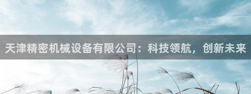 彩神vip购彩：天津精密机械设备有限公司：科技领航，创新未来