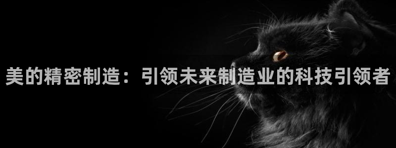 彩神iv是正规平台吗?：美的精密制造：引领未来制造业的科技引领者