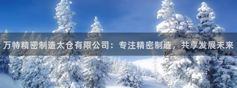 下载彩神v8：万特精密制造太仓有限公司：专注精密制造，共享发展未来