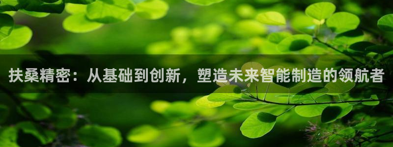 彩神争霸老平台：扶桑精密：从基础到创新，塑造未来智能制造的领航者