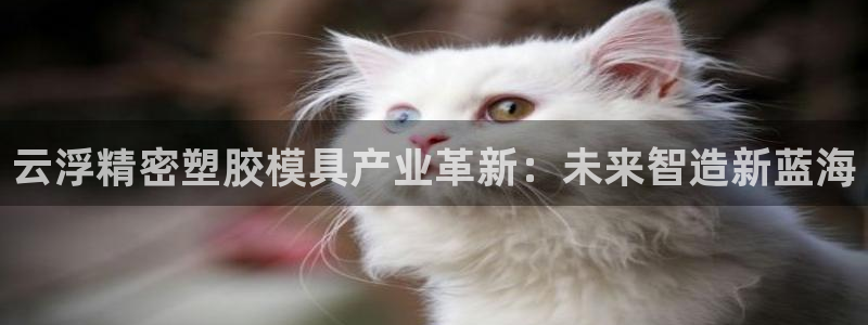彩神v8几个版本：云浮精密塑胶模具产业革新：未来智造新蓝海