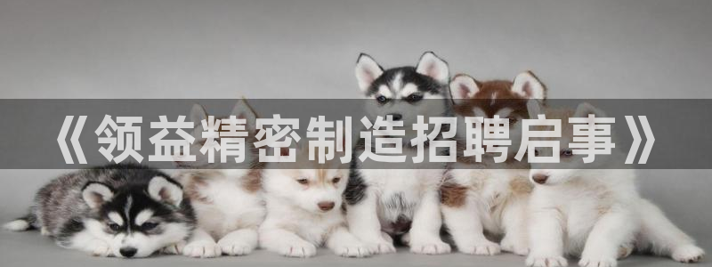 彩神赢了钱登录不上去：《领益精密制造招聘启事》