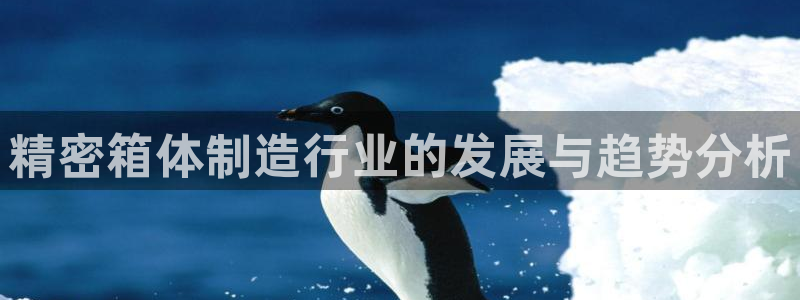 下载彩神v8：精密箱体制造行业的发展与趋势分析