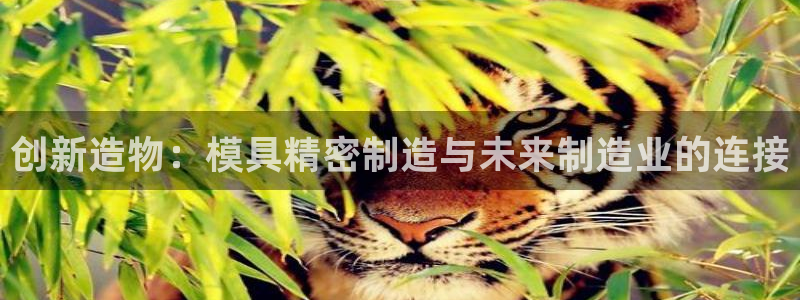 彩神旗下有哪些平台可以看：创新造物：模具精密制造与未来制造业的连接
